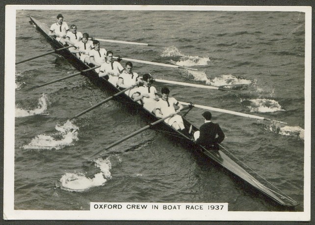 cc gbr 1937 ardath tobacco co ltd  oxford crew in boat race   oxford ends cambridge s sequence of 13 successive wins 